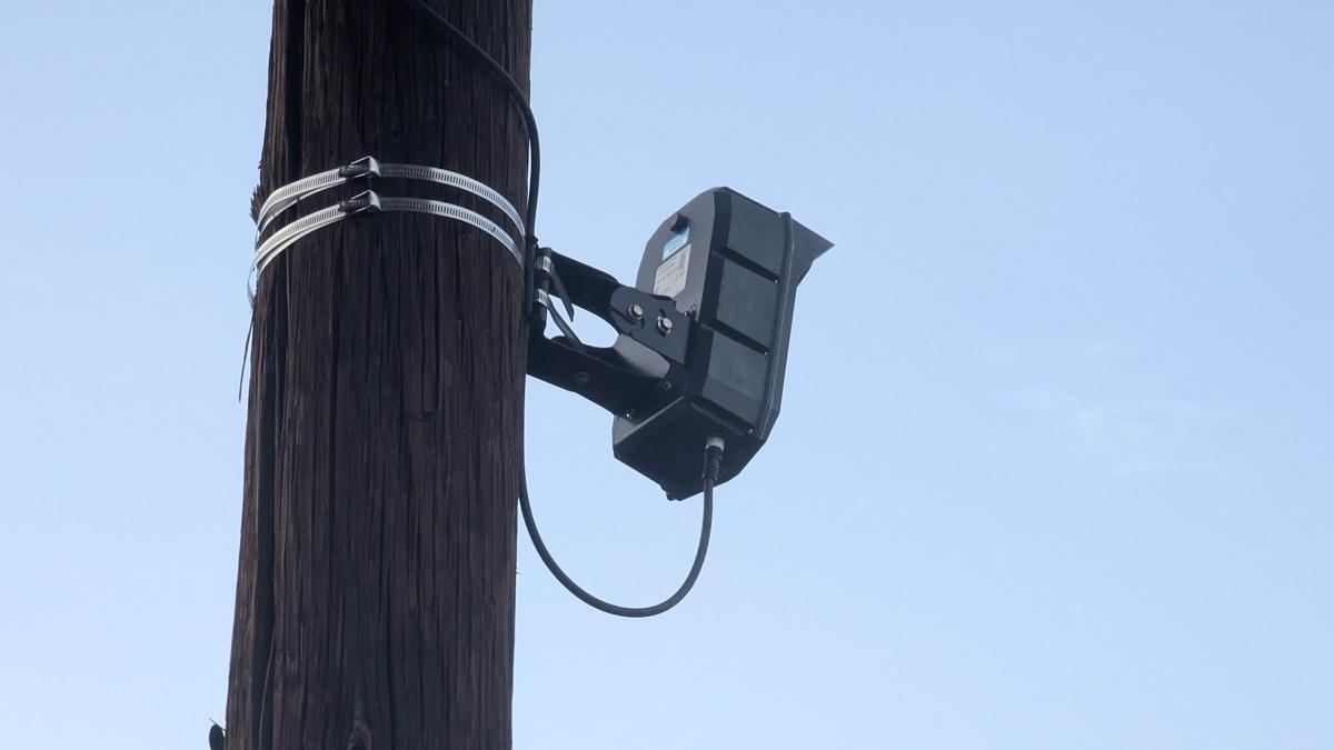 Hooded camera strapped to a wooden pole