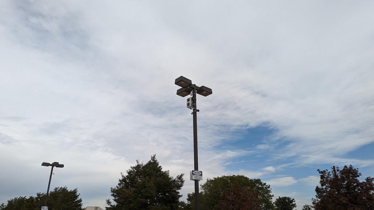 Light pole with camera pod over trees