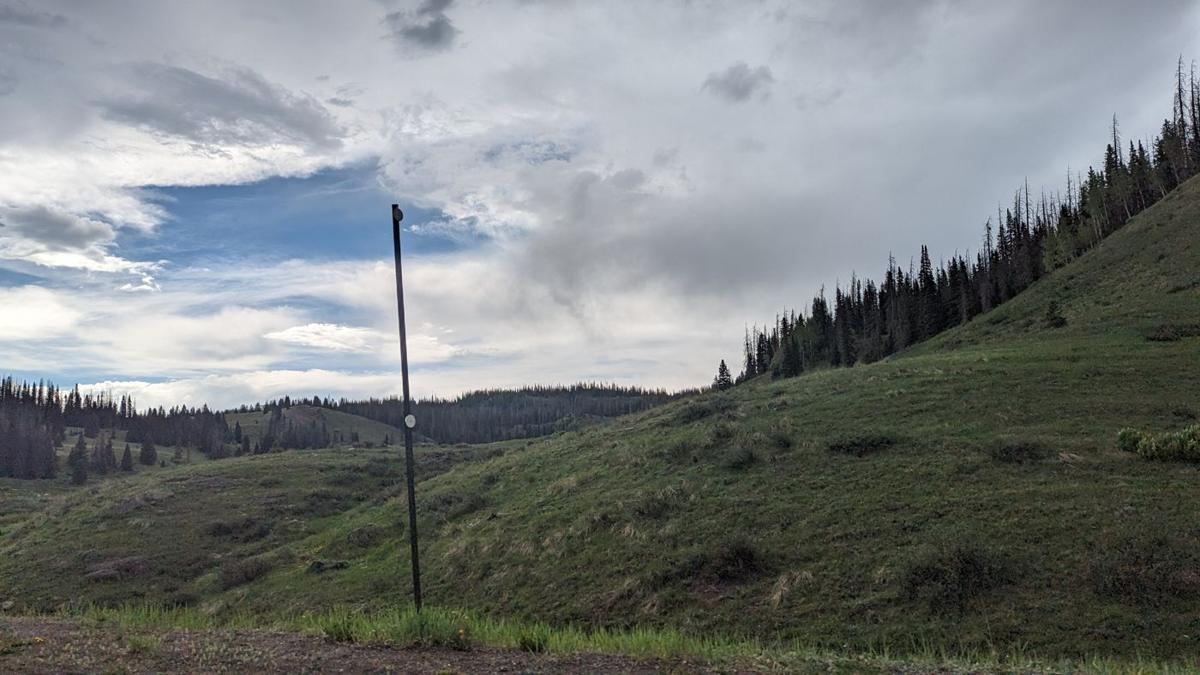 Tall bare mast on a grassy hillside