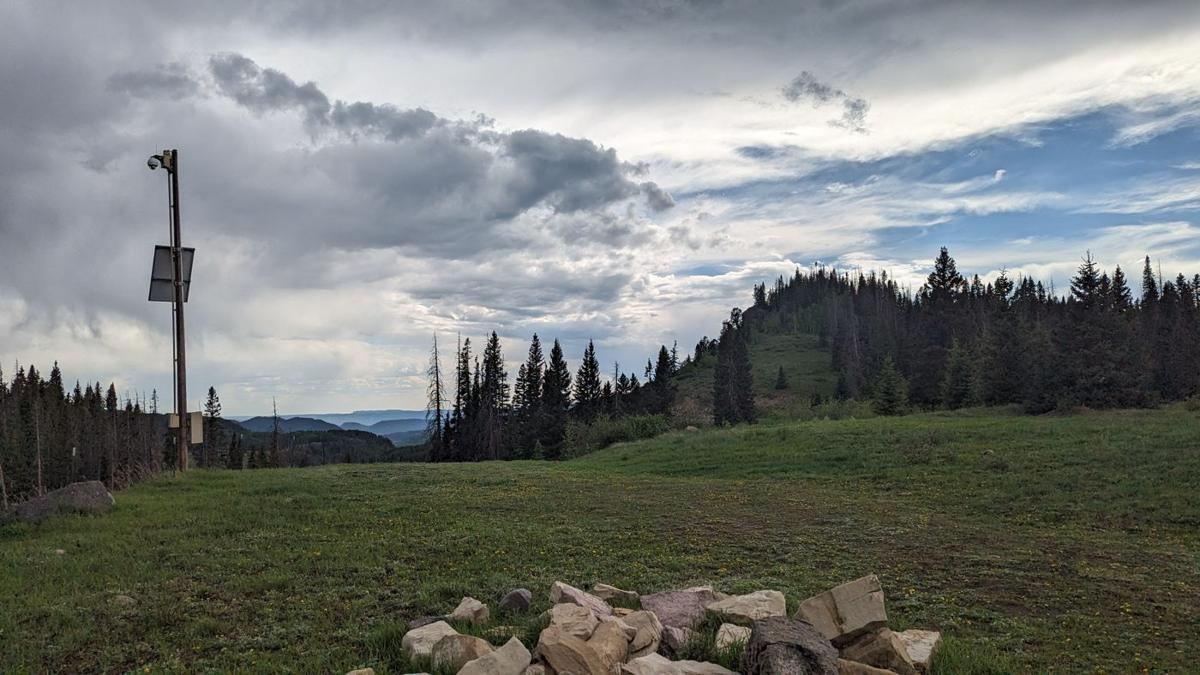 Camera mast above a meadow